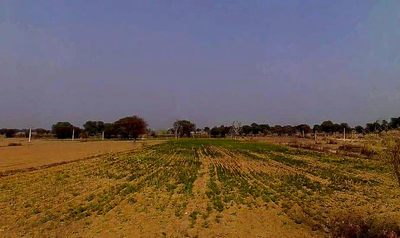 7XFG+554, Lakher, Rajasthan 303104, India preview 3