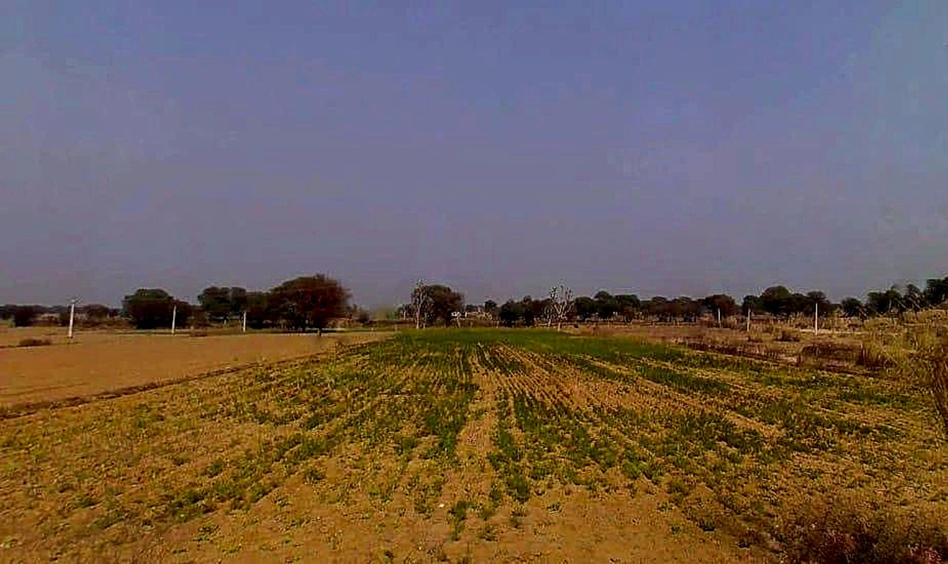 7XFG+554, Lakher, Rajasthan 303104, India