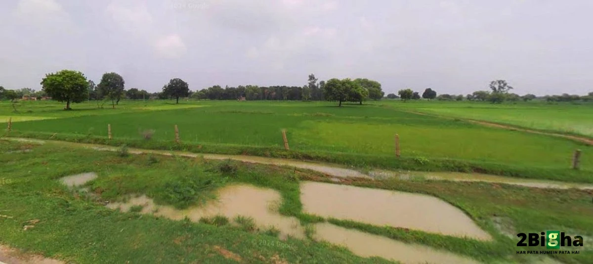 Muskara, Uttar Pradesh 210506, India