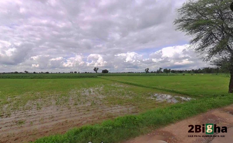 Muskara, Uttar Pradesh 210506, India preview 3