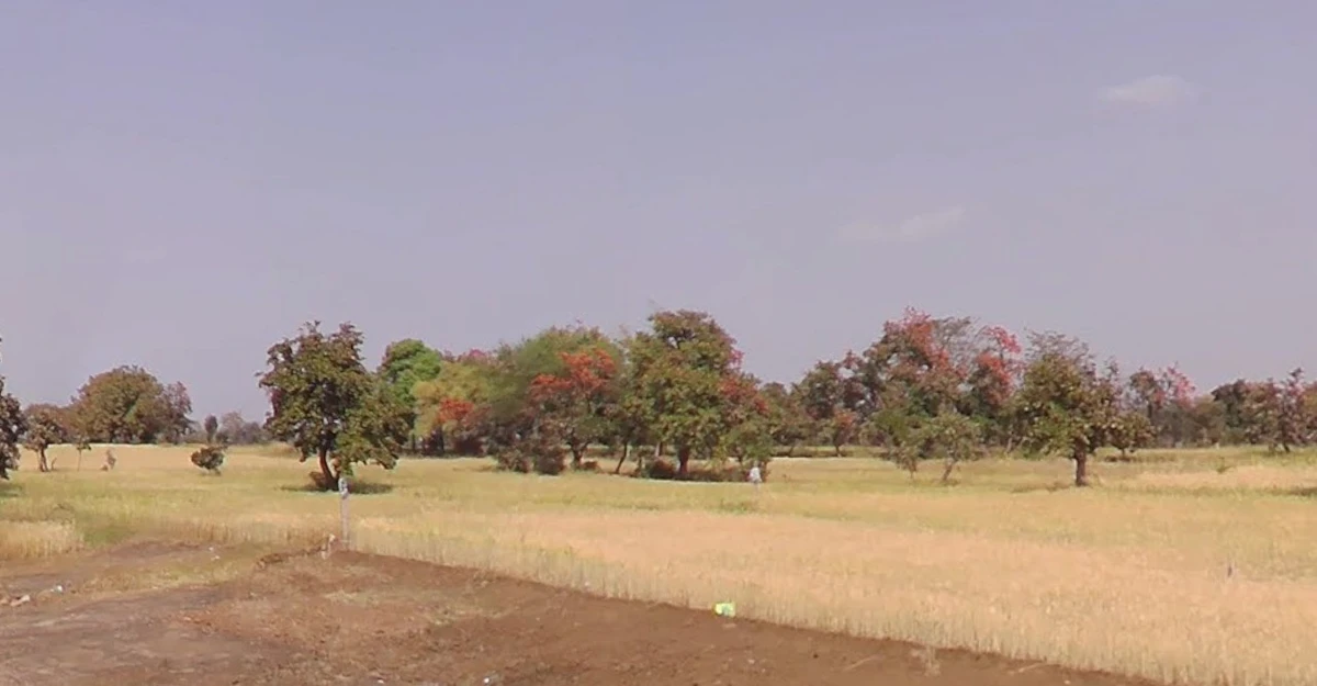 35XG+94, Pahadi Kheda, Madhya Pradesh, India