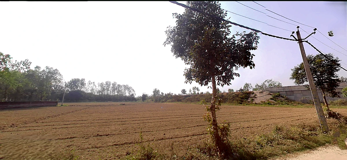 Telpura, Uttarakhand 247662, India