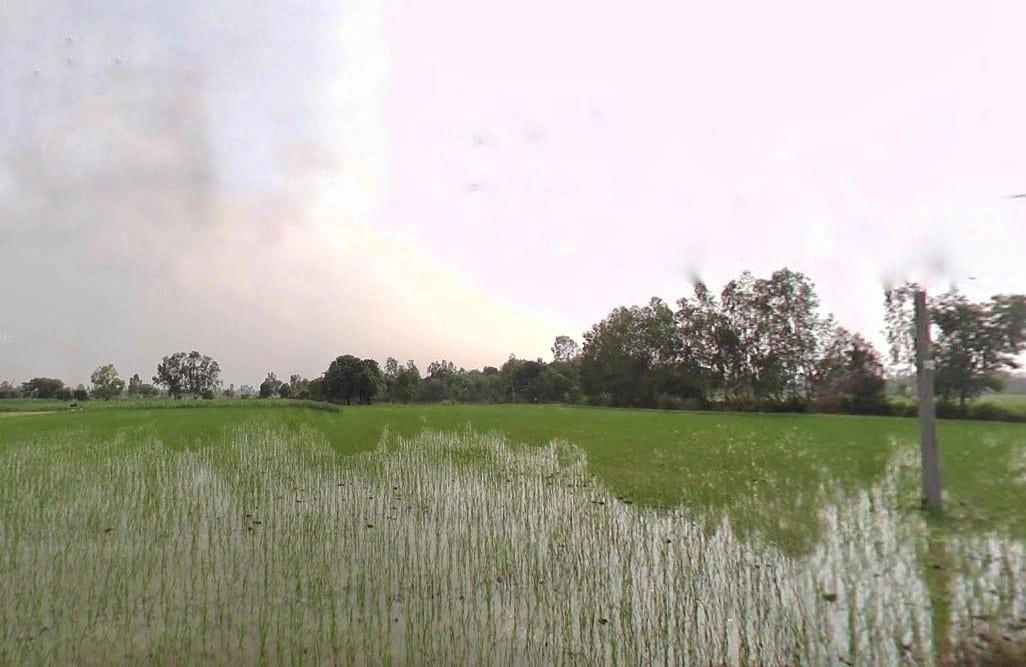 Shahjahanpur, Uttar Pradesh, India