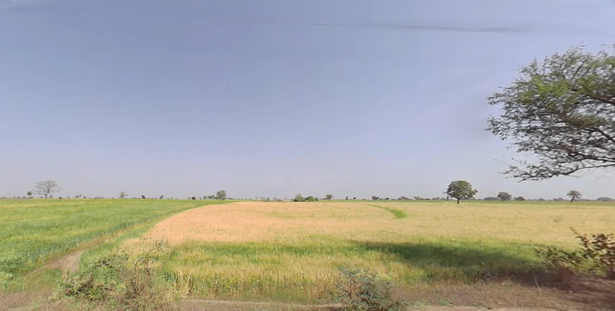 Agricultural Land in Barasat, near - duttapukur police station, North-24-parganas