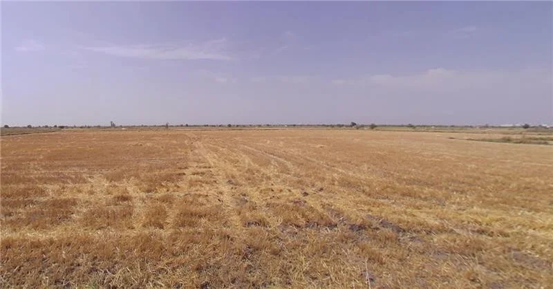 Agricultural Land in Viramgam, Ahmedabad