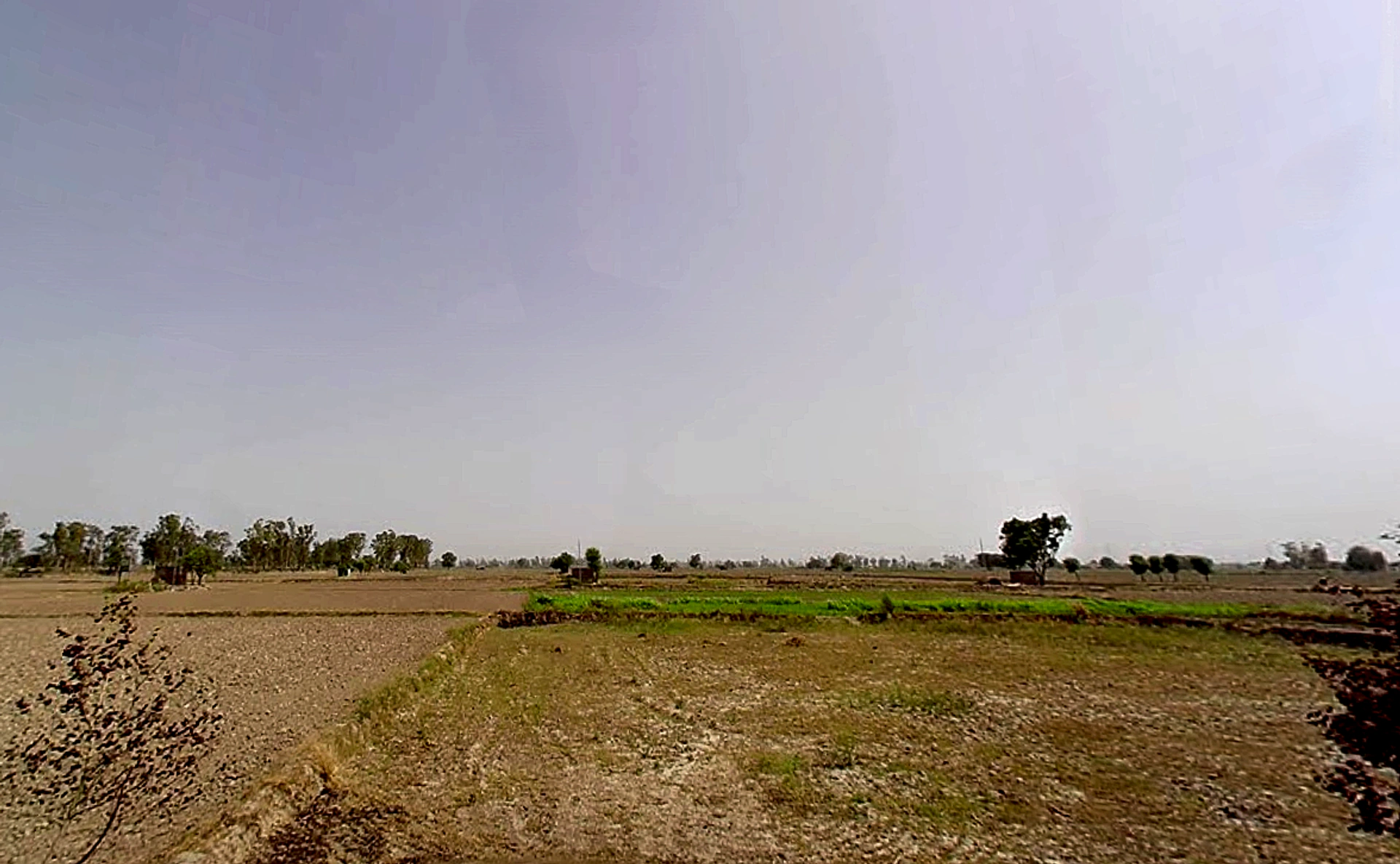 Bapauli, Haryana 132104, India