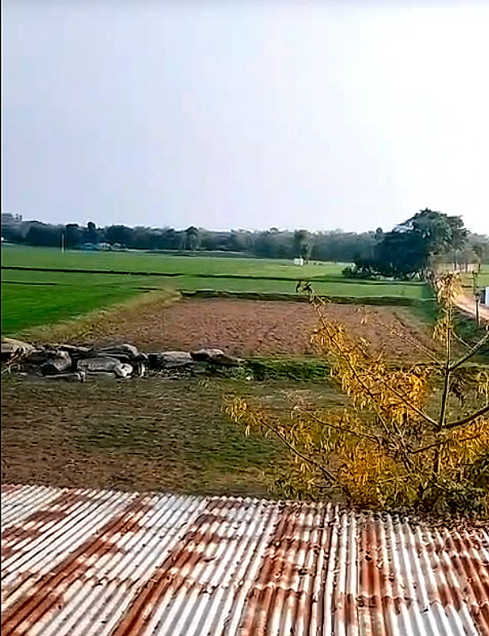 MGMW+W6 Odhandha, Rajasthan, India