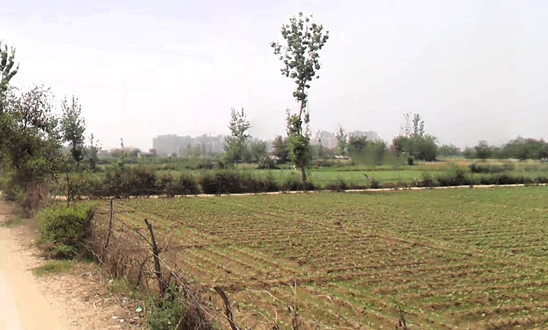 Agricultural Land in Faridabad sector 82, Faridabad
