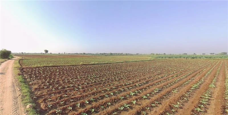 HFW8+6J Sukhpur, Gujarat, India