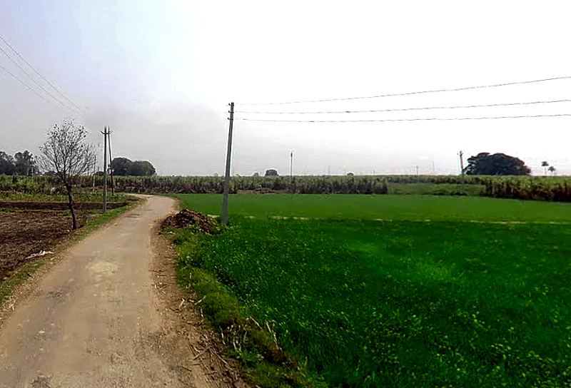 Ratauli, Uttar Pradesh 250341, India preview 3