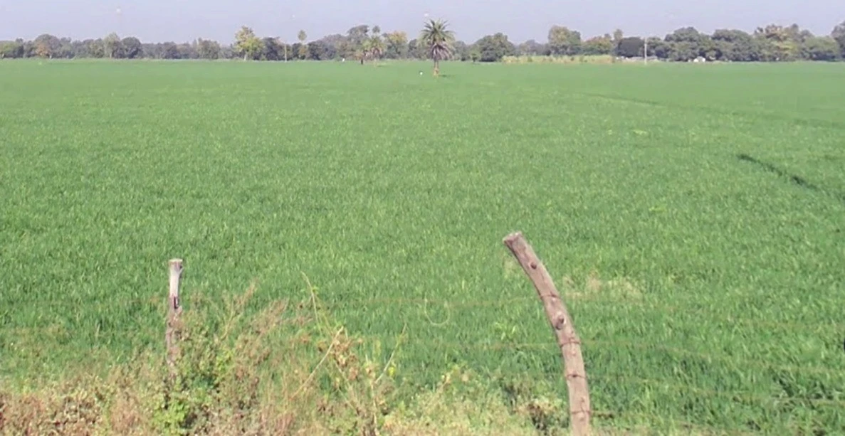 AGRICULTURAL in Nagara Rd, shivpuri