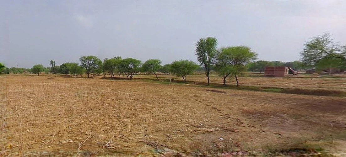 Prayagraj, Uttar Pradesh, India