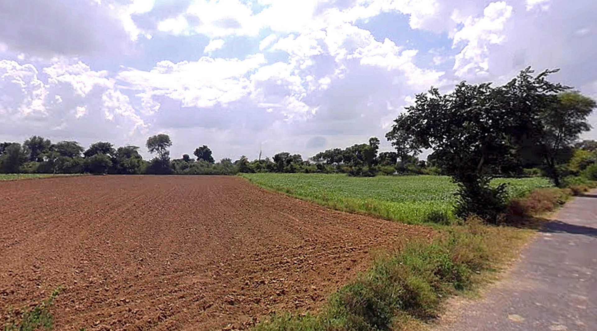 Raya, Uttar Pradesh 281204, India