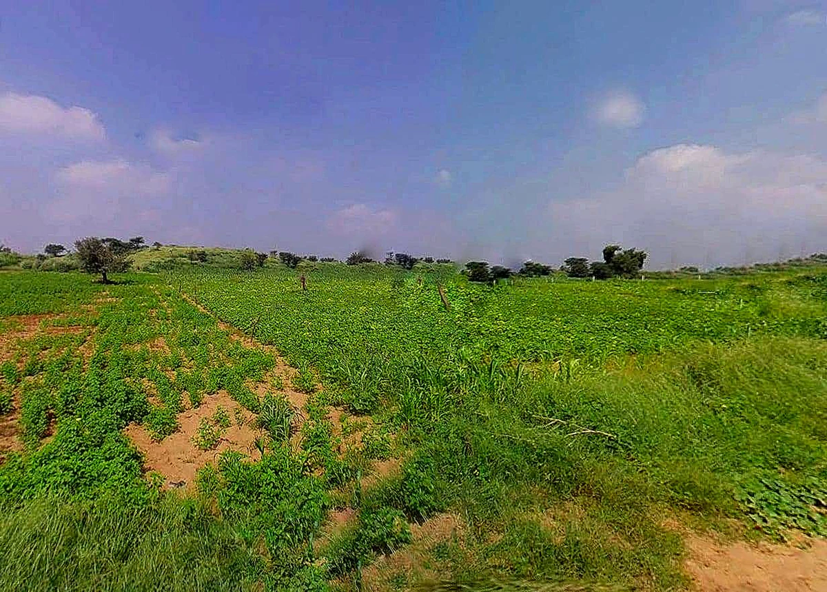 Daspalla, Odisha, India