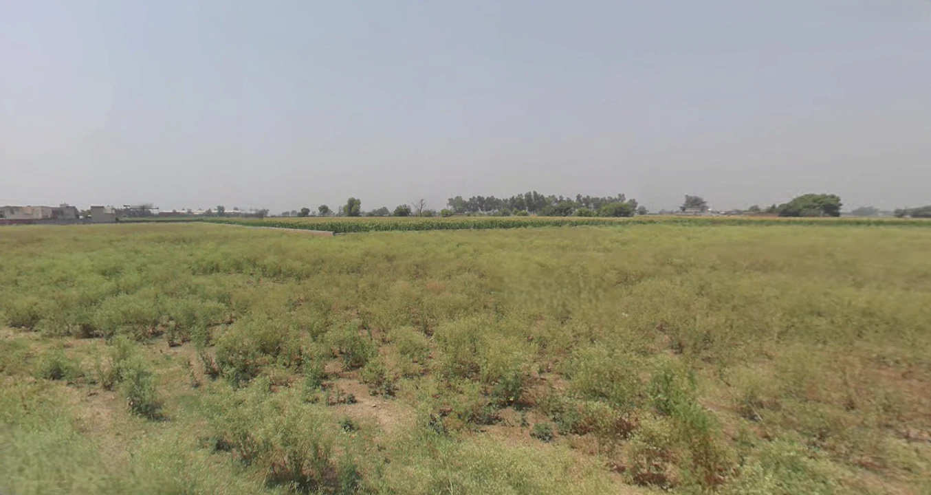 Nakodar, Punjab 144040, India