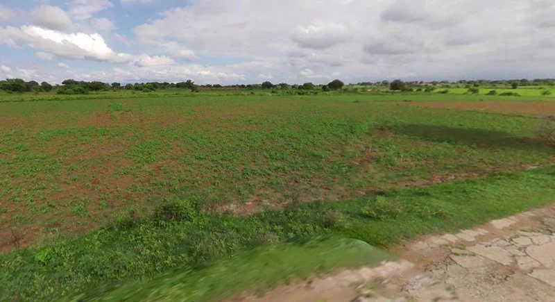Bijnor, Uttar Pradesh 246701, India