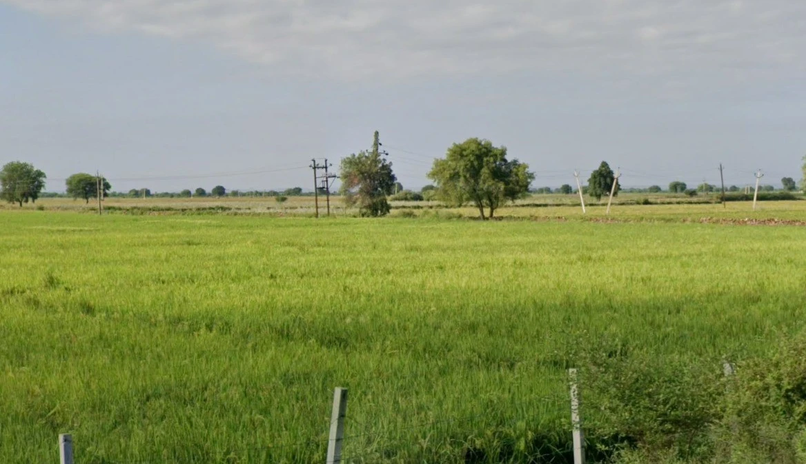 Agricultural Land in Khajurna, Mandsaur