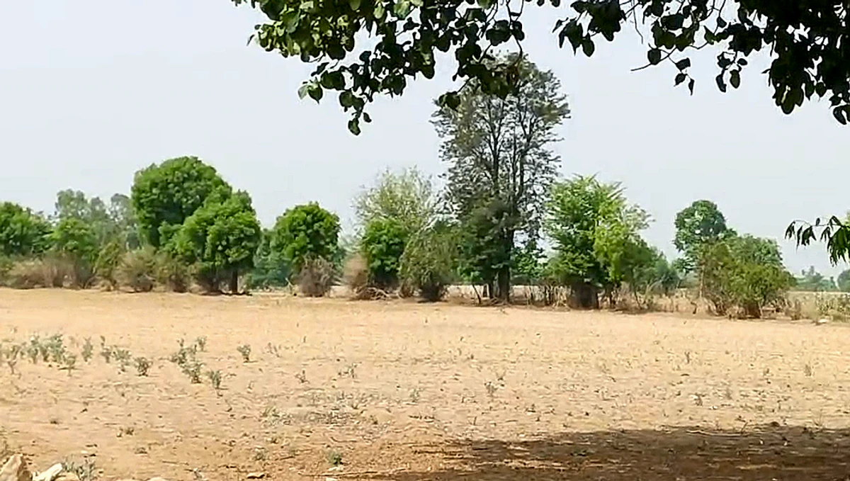 Suryavatika Rd, Chakur, Rajasthan 303701, India