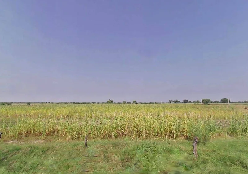 Agricultural Land in Phalodi / bengti kallan, Jodhpur