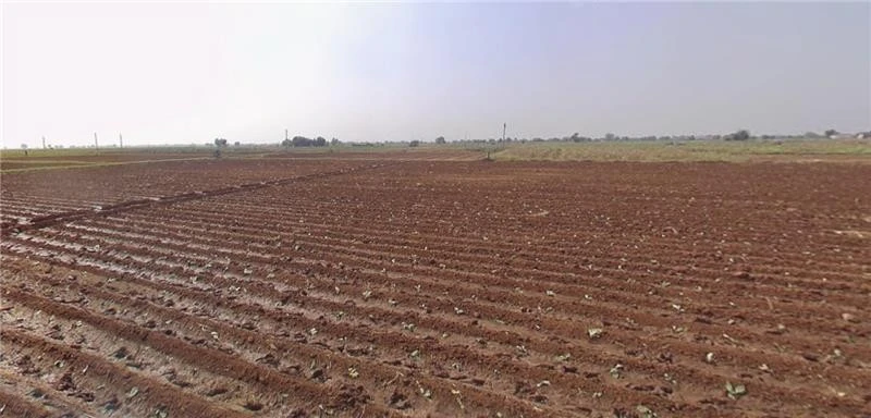 Vadgas, Gujarat 382150, India