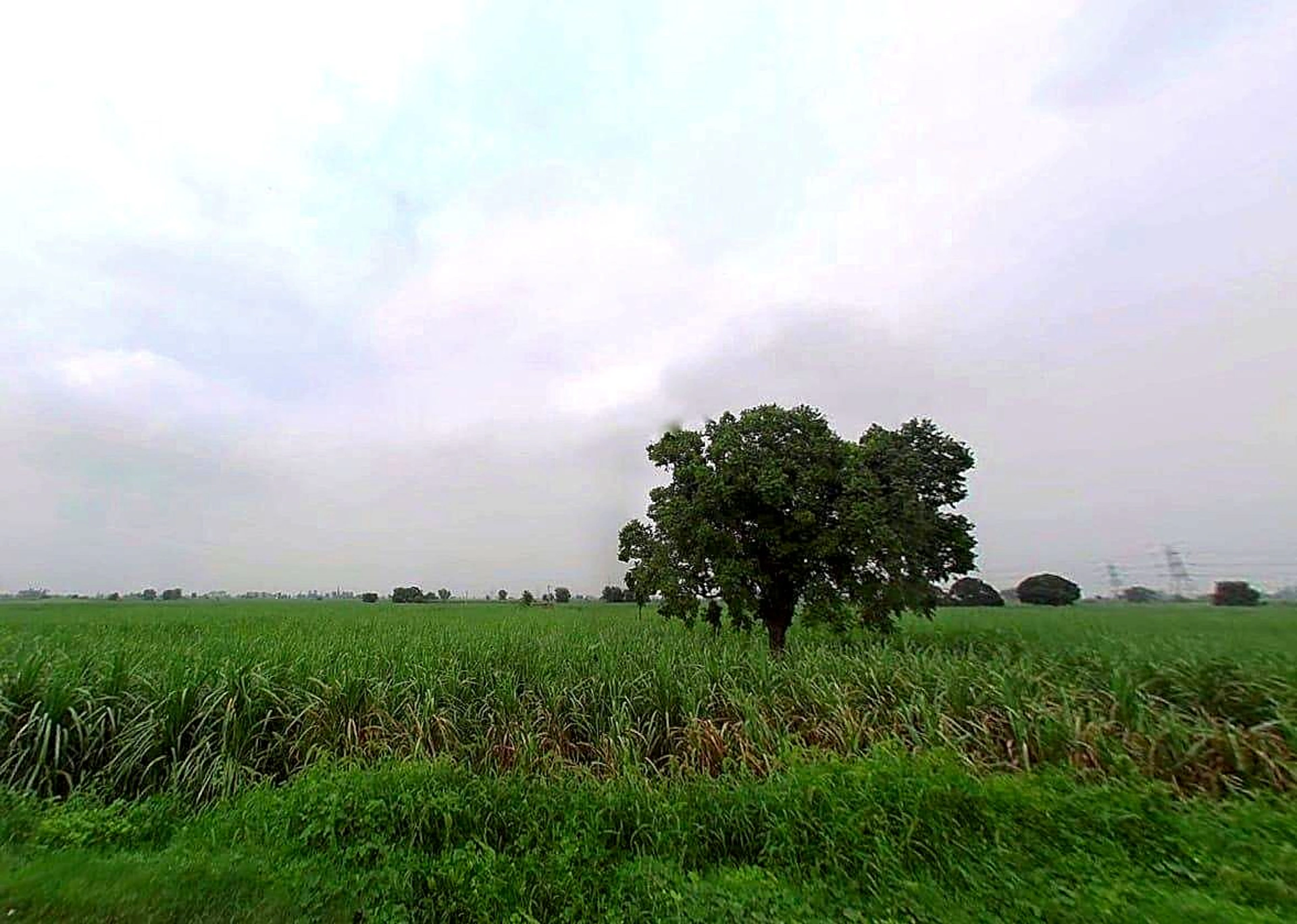 78CP+R7X, Durganpur, Uttar Pradesh 247771, India