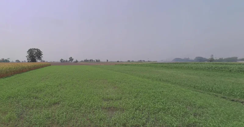 Agricultural Land in Bhachau/lakadia, Kutch