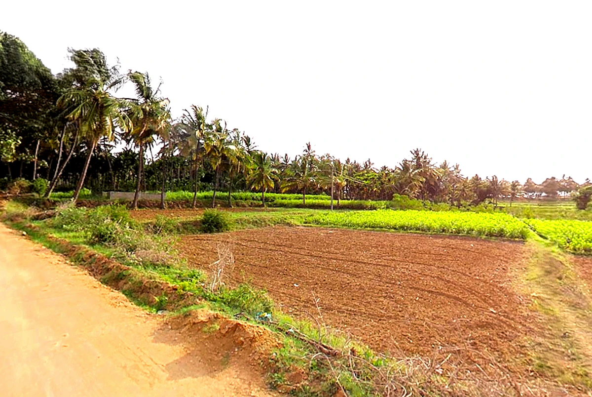 Agricultural Land in Madhugiri taluk, kodigenahalli, Tumakuru
