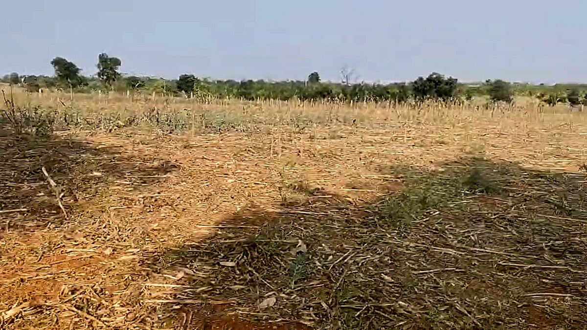 5C8F+PQ Naranagepalle, Andhra Pradesh, India