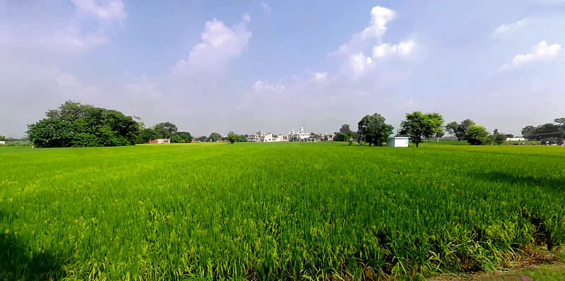 Dada Patti, Uttarakhand 247662, India