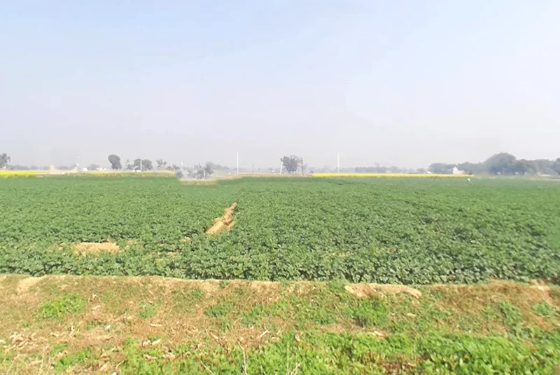 2VCW+RF Chandi Musta, Uttar Pradesh, India preview 3