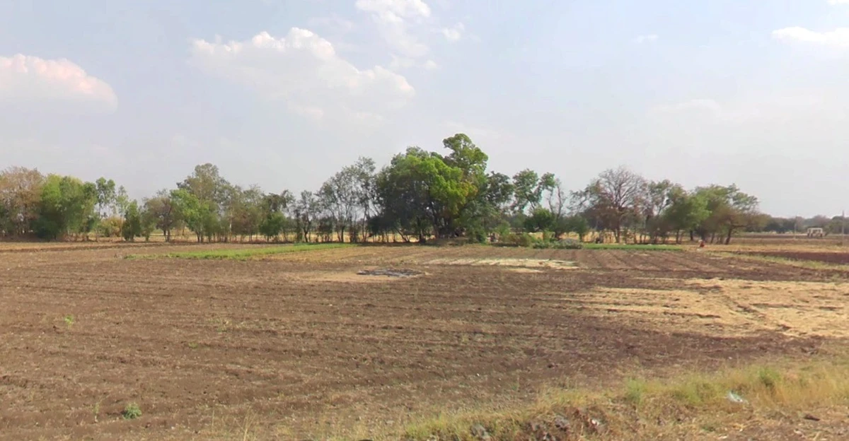 Nimbod, Madhya Pradesh 458669, India