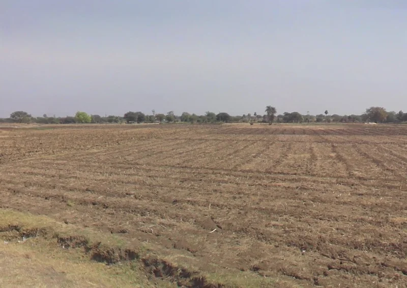 Raiyarao, Madhya Pradesh, India preview 2