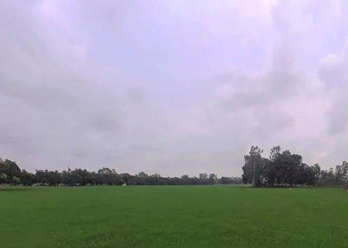 HV9J+855, Bithaura Kalan, Uttar Pradesh 262001, India preview 2