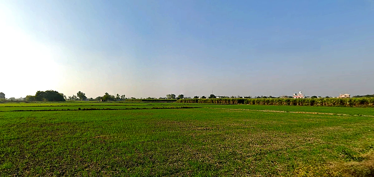 Pharala, Punjab 144503, India