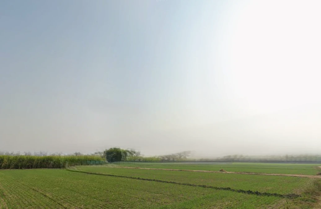 Bhabiana, Punjab 144407, India