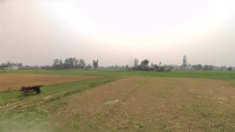 Raiwala, Uttarakhand 249205, India