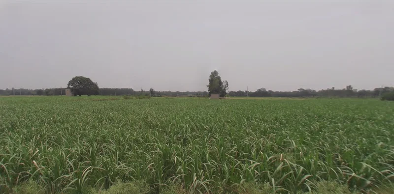 Kharar, Punjab 140301, India preview 2