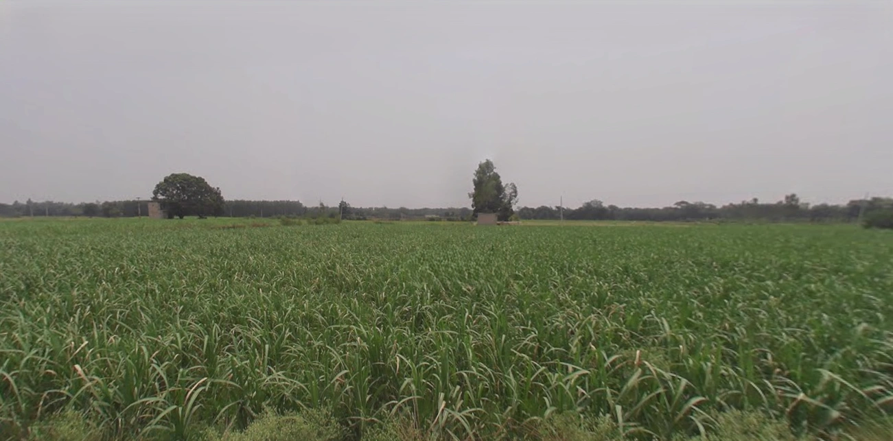 Kharar, Punjab 140301, India