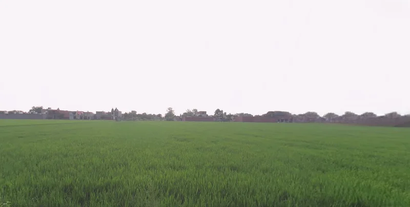 Mundian Kalan, Ludhiana, Punjab 141003, India preview 3