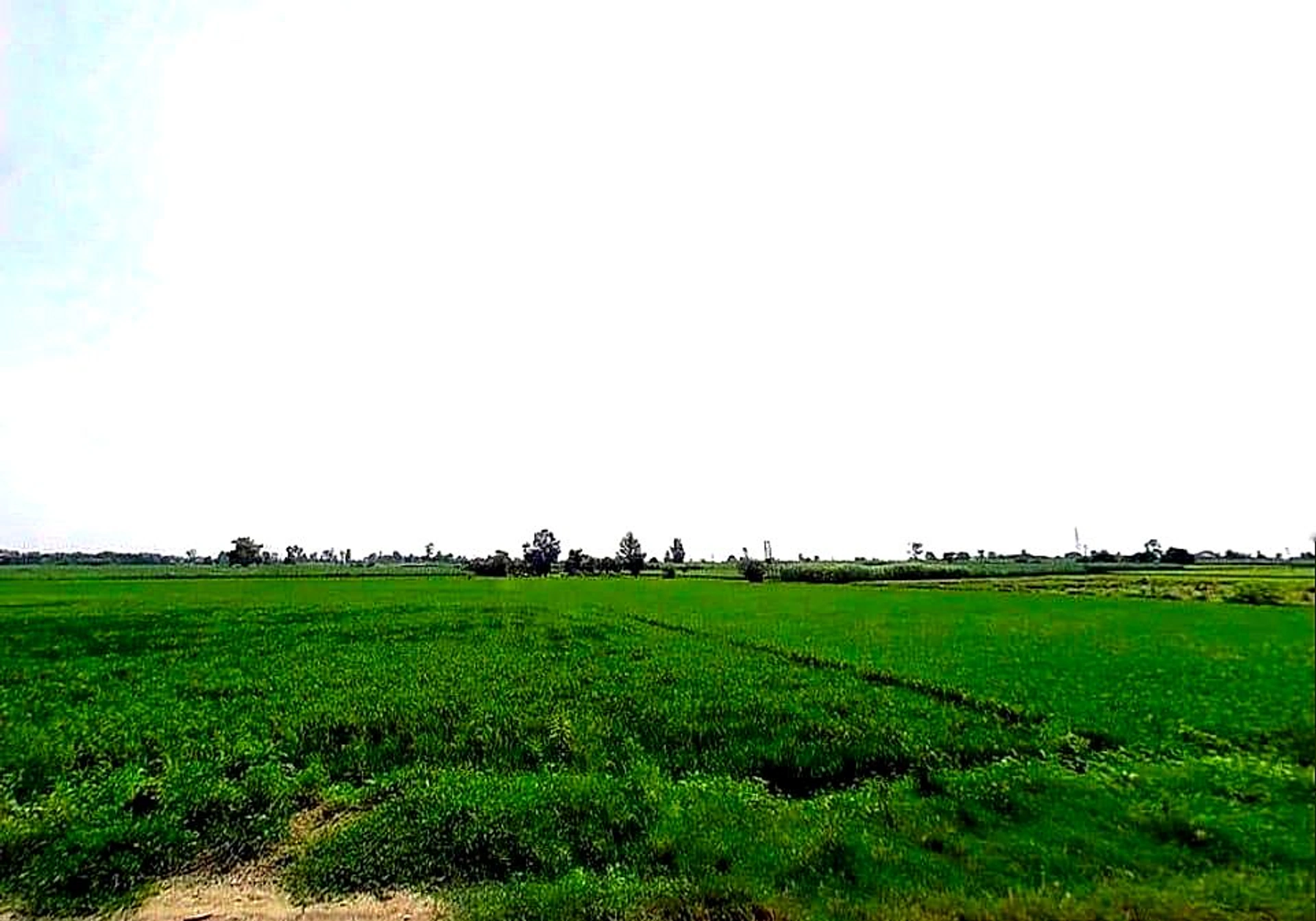 Toda, Uttar Pradesh, India