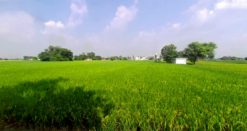 Dada Patti, Uttarakhand 247662, India