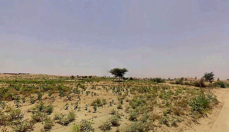 Suratgarh, Rajasthan 335804, India preview 3