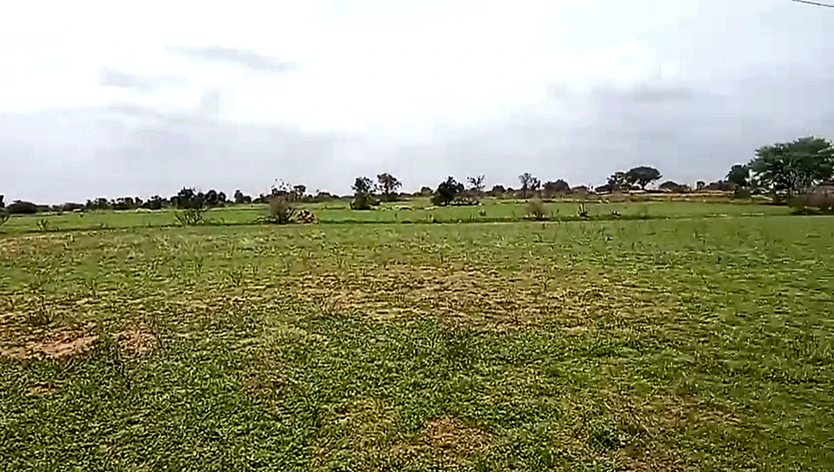 WQJM+VM Chagaluru, Andhra Pradesh, India