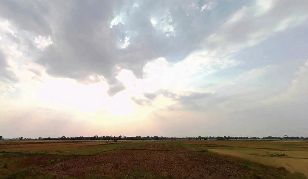 Pothahi, Dharahra, Bihar 804453, India