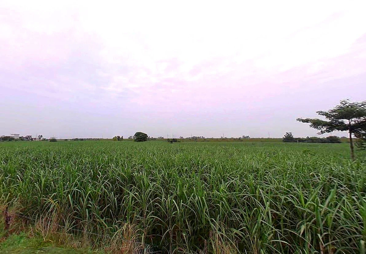Mirapur, Uttar Pradesh, India