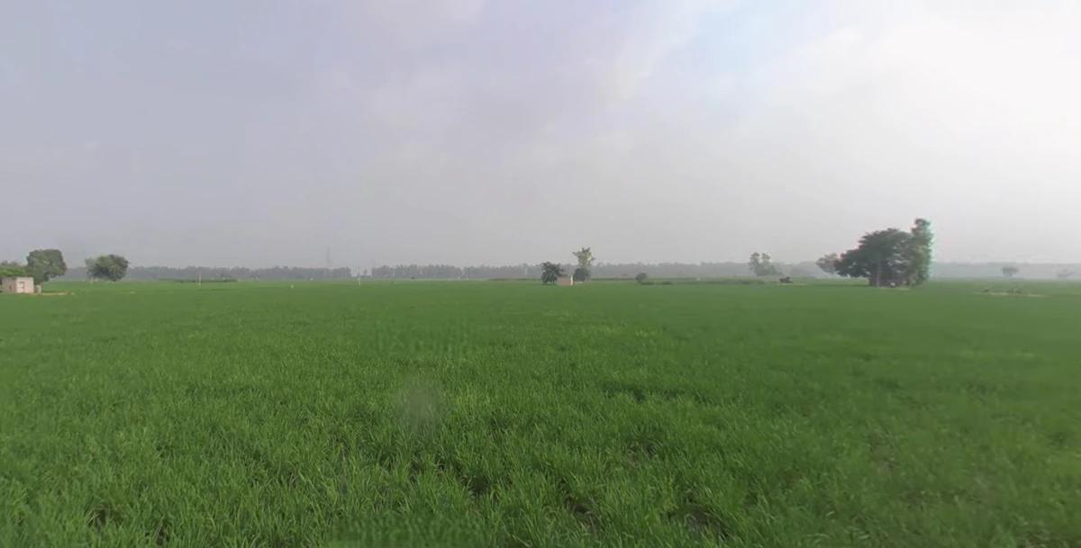 Khatra Chuharm, Punjab 141118, India