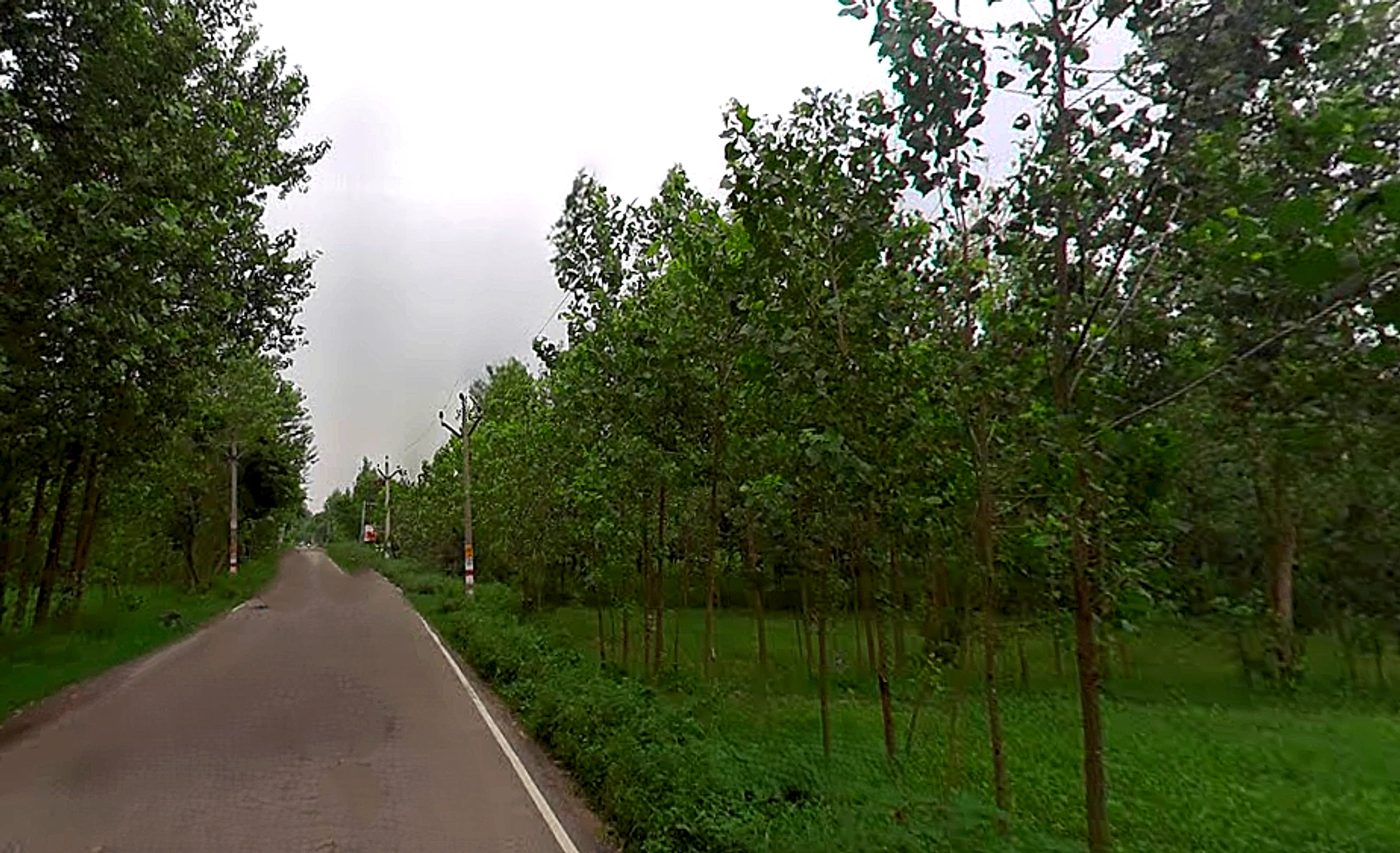 Pathed, Uttar Pradesh 247669, India