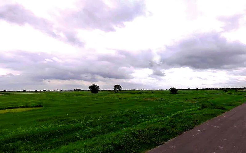 Piproli, Rajasthan, India