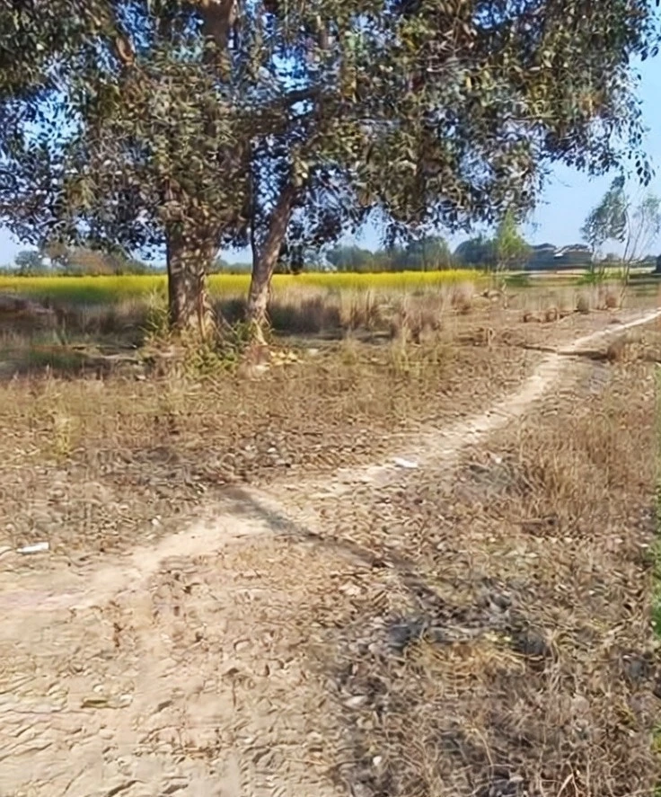 Sarojini Nagar, Lucknow, Uttar Pradesh, India