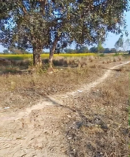 Sarojini Nagar, Lucknow, Uttar Pradesh, India preview 2